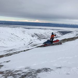 Meet your Posher, Allyson